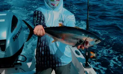 Playa Herradura Report Video 0