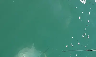Port Canaveral Report Video 0