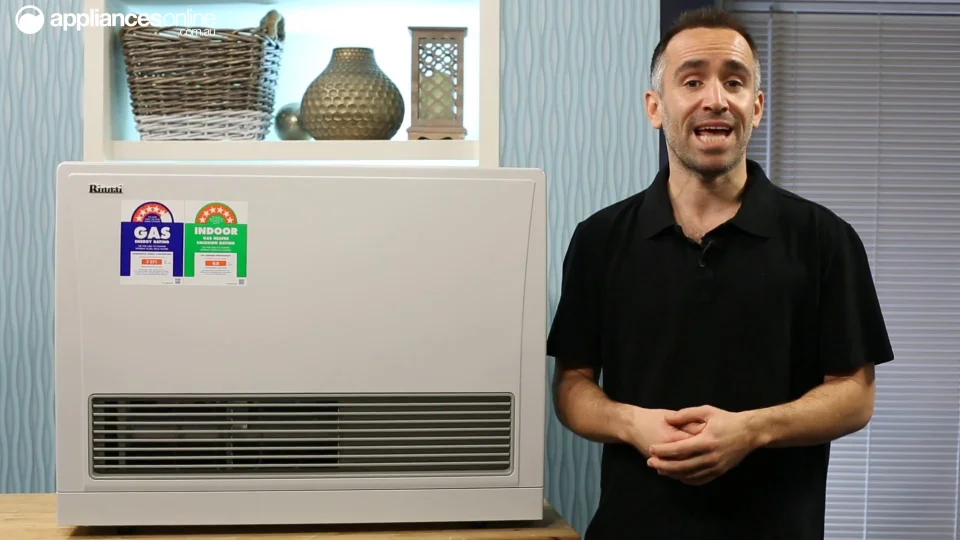 Rinnai EnergySaver Flued Natural Gas Heater K559FTN | Appliances Online