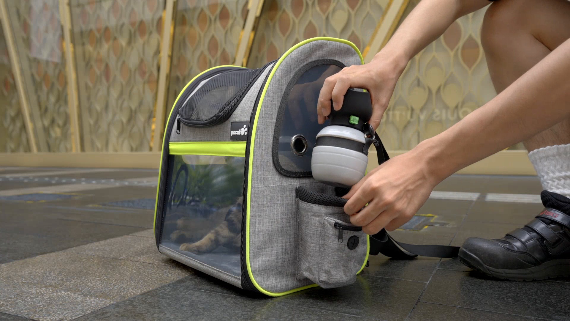 PECUTE Expandable Mesh Backpack Dog & Cat Carrier, Grey - Chewy.com