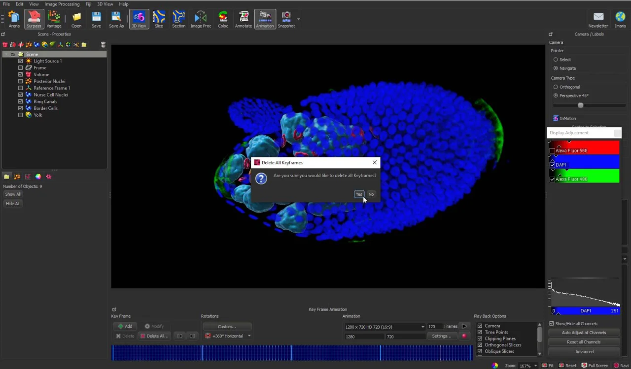 How to Create an Amazing Video from Microscopy Data- Oxford Instruments