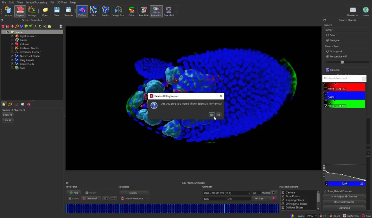 How to Create an Amazing Video from Microscopy Data- Oxford Instruments How to Create an Amazing Video from Microscopy Data- Oxford Instruments
