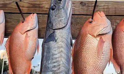 Destin Report Video 1