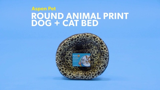 Play Video: Learn More About Aspen Pet From Our Team of Experts