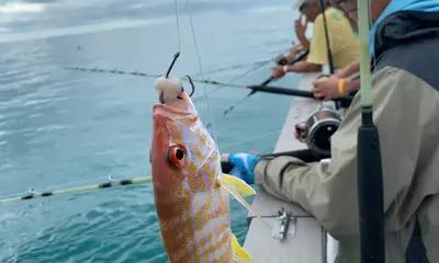 beautiful trip on the water