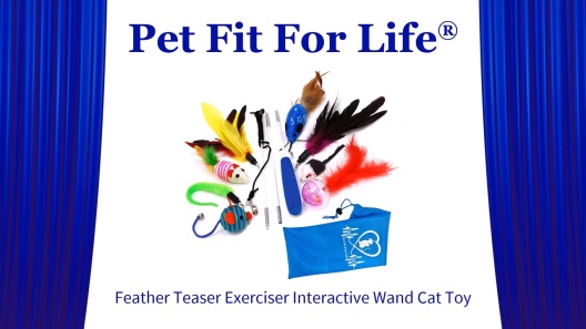 PET FIT FOR LIFE 6 Piece Replacement Feather Pack for Wand Cat Toy