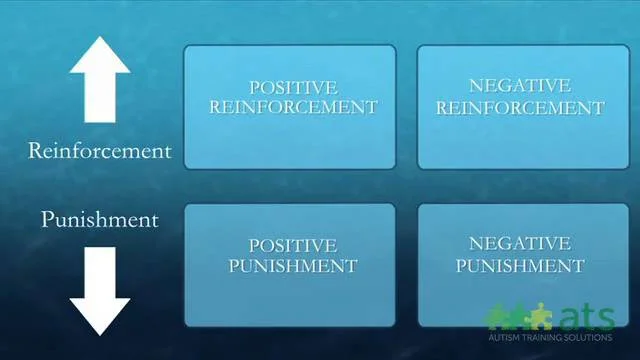 reinforcement and punishment examples