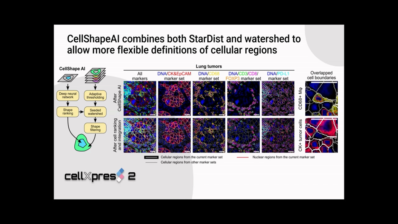 simoa-assay-kits