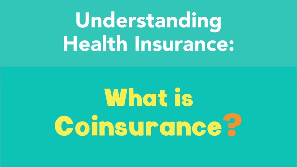 What is Coinsurance?