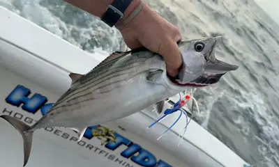 Arms sore from catching fish all day 