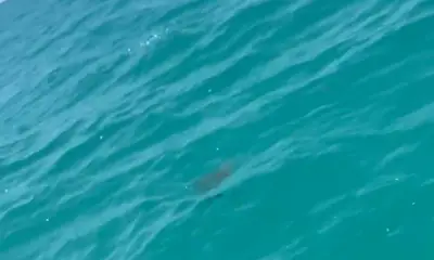 My familys favorite trip in Belize