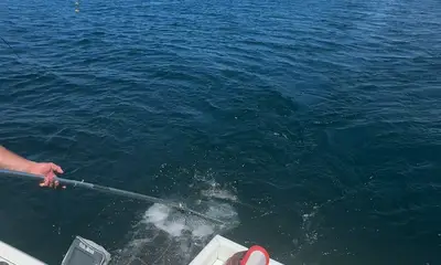 Grandson lands personal best biggest fish!