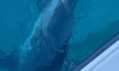 St. Augustine Report Video 0