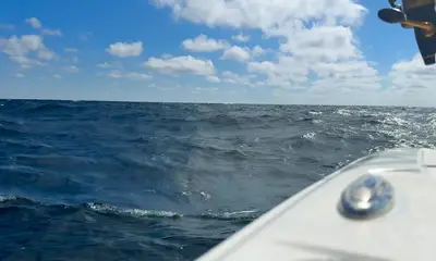Gulf Breeze Report Video 1