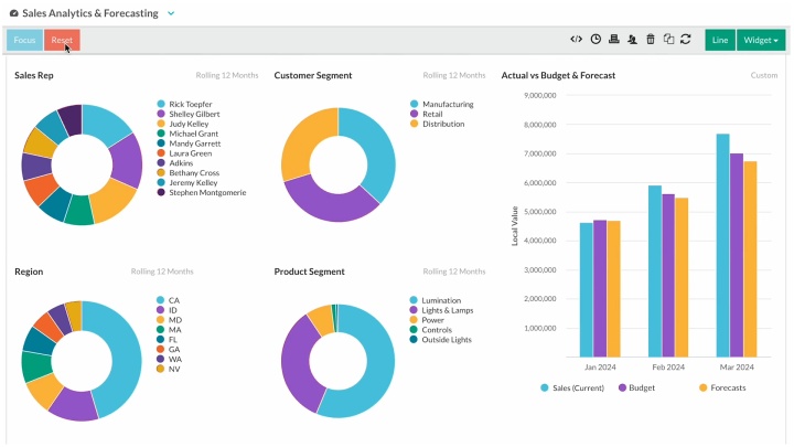 Customizable sales forecasts