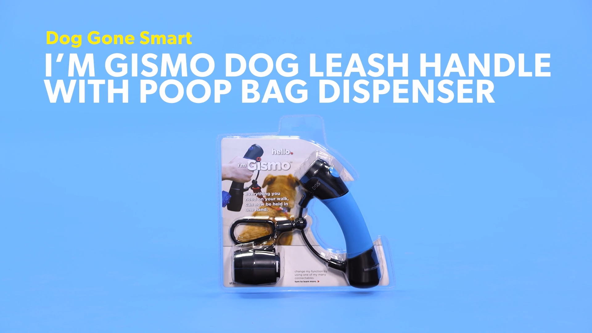 Dog gone smart clearance leash