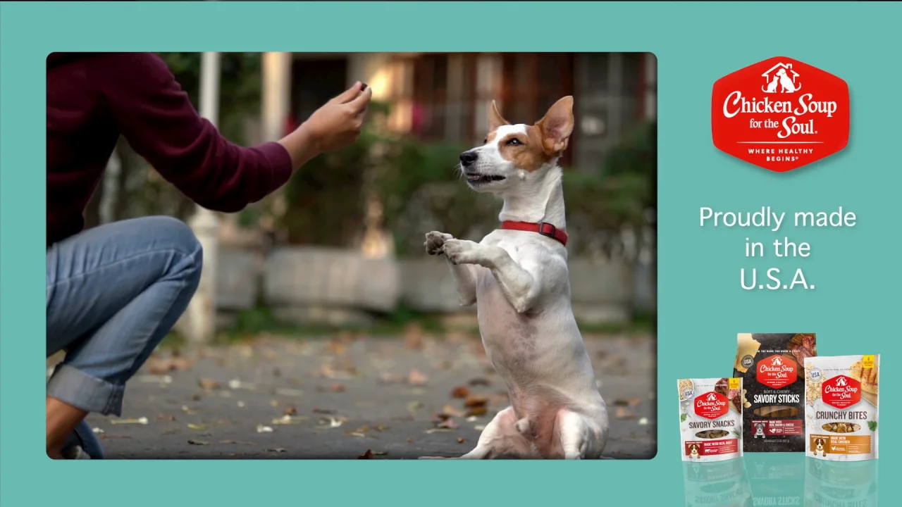Chicken Soup for the Soul - Free shipping | Chewy