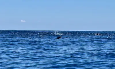 A phenomenal day on the water!