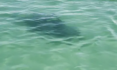 Half day well spent!!!