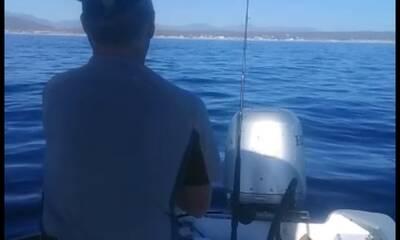 Baja California Sur Report Video 0