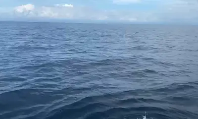 Quepos Report Video 1