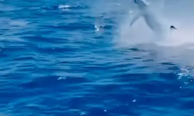 Book now for Sumerrtime Blues!