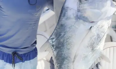 Mexico Report Video 1