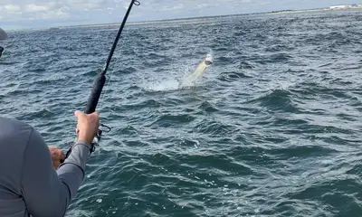 Jacksonville Report Video 0