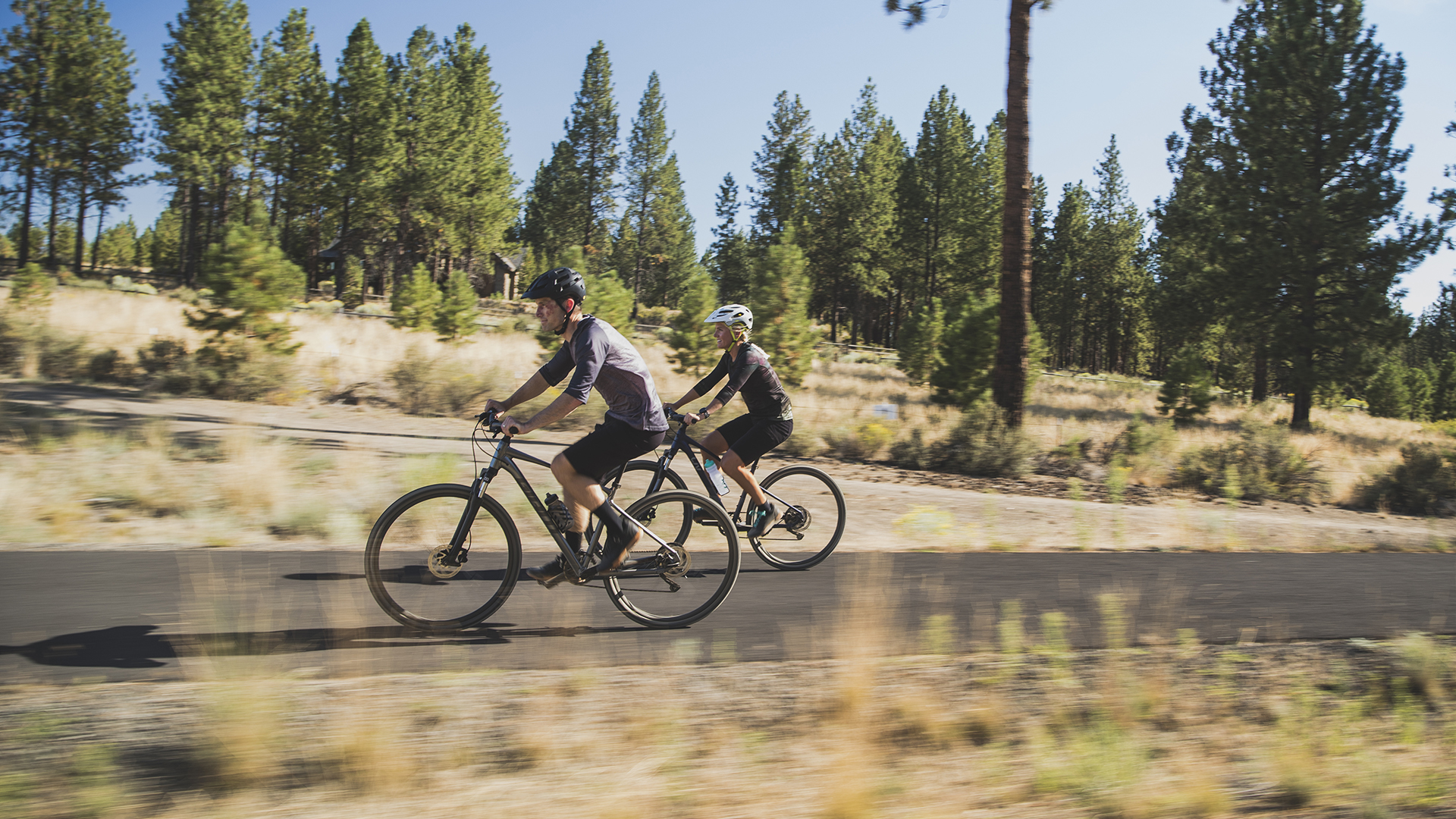 giant bicycles roam