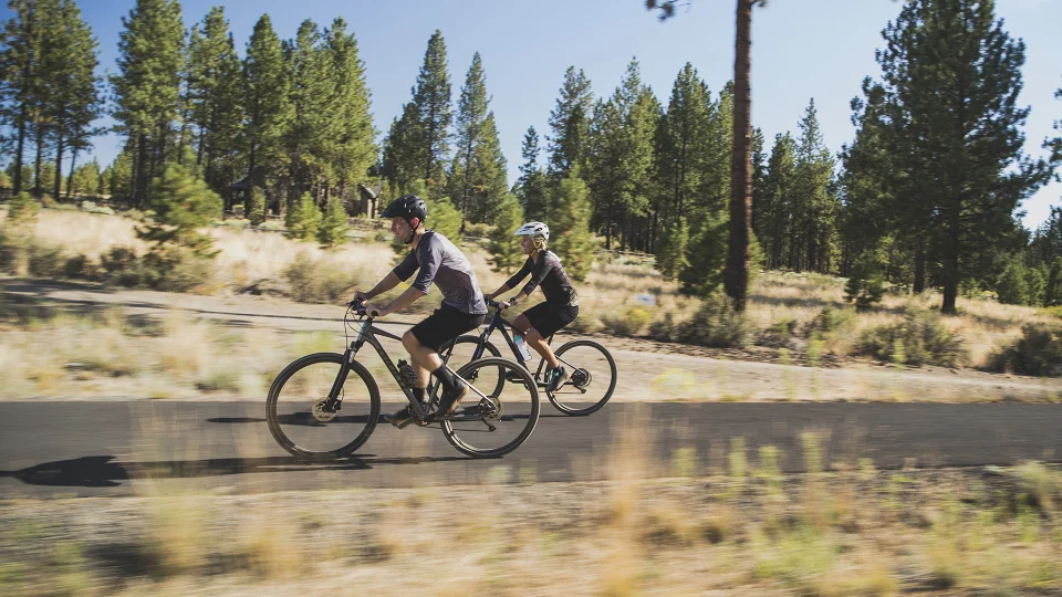 Roam | Giant Bicycles Japan 日本