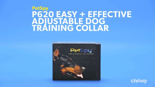 PetSpy Collar: Petspy shock collar & Petspy dog training collar