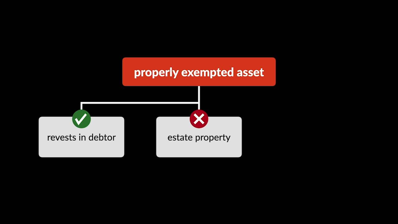 Bankruptcy Videos: Bankruptcy Exemptions | Quimbee