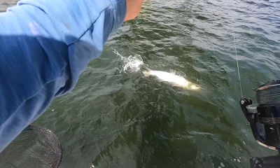 Fort Myers Beach Report Video 0