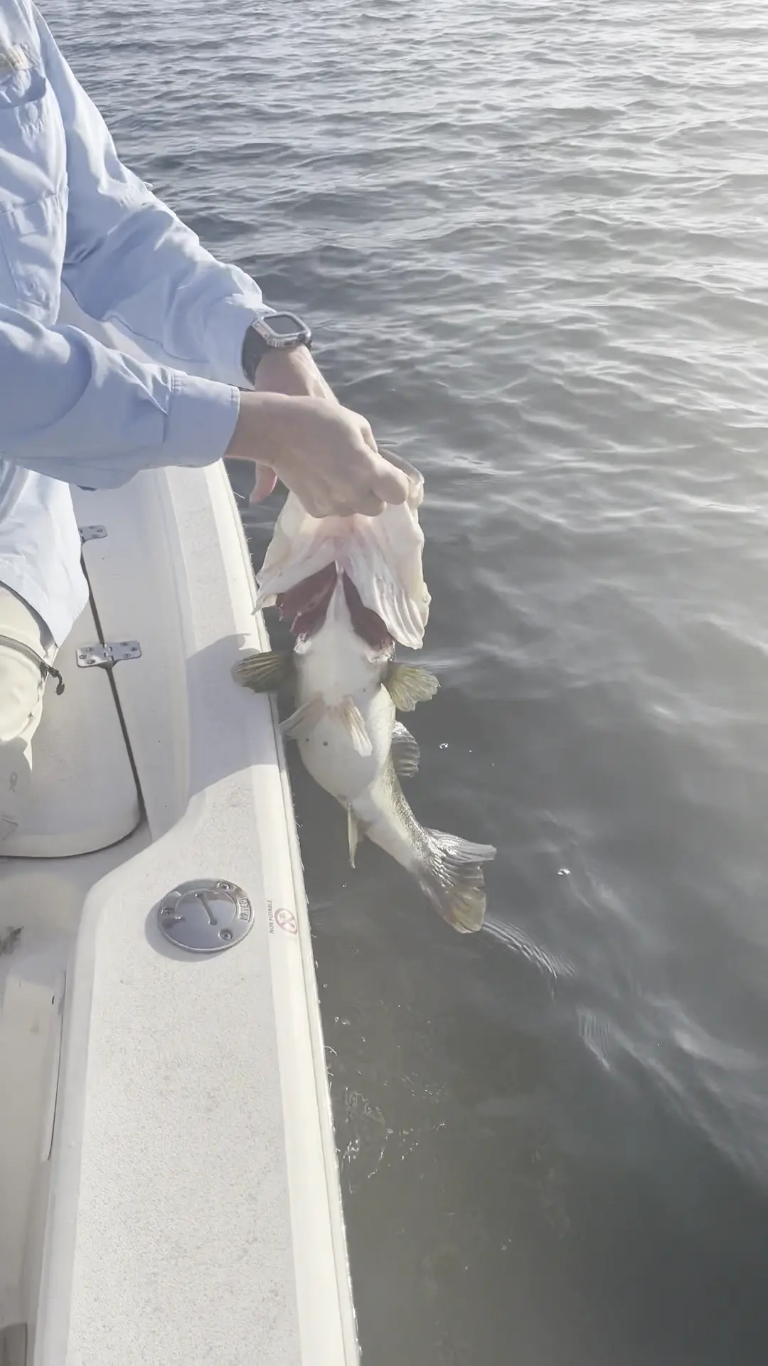 Business Card: Central Florida Bass Fishing – Winter Haven
