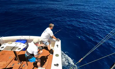 Sydney Report Video 0