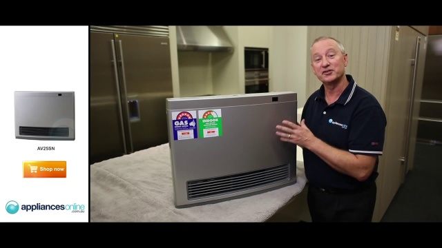 Rinnai Avenger 25 Convector Portable Natural Gas Heater AV25SN3 |  Appliances Online