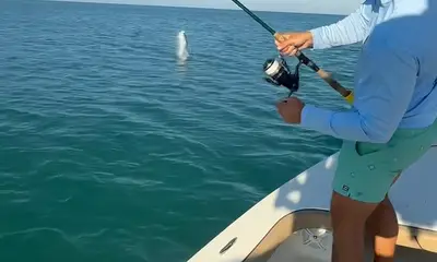 Tarpon Time!! 