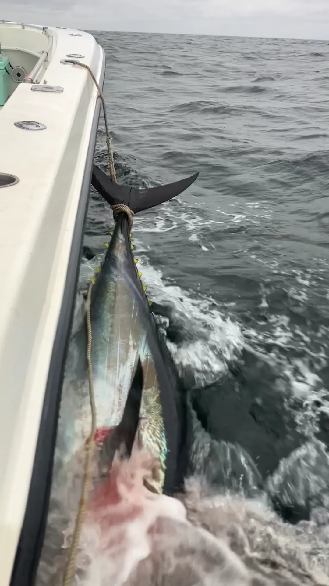 Business Card: Peak Fishing Charters