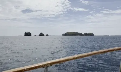 amazing experience