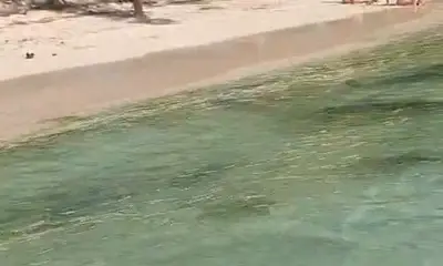 Playa Del Carmen Report Video 0