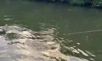 3 days of tarpon fishing 