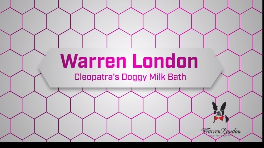 Play Video: Learn More About Warren London From Our Team of Experts