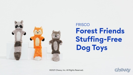 Play Video: Learn More About Frisco From Our Team of Experts