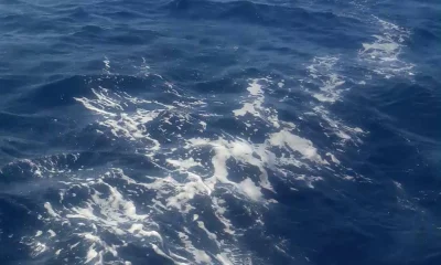 Costa Adeje Report Video 0