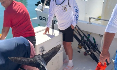 San Jose del Cabo Report Video 1