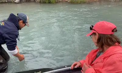 Kenai Report Video 1