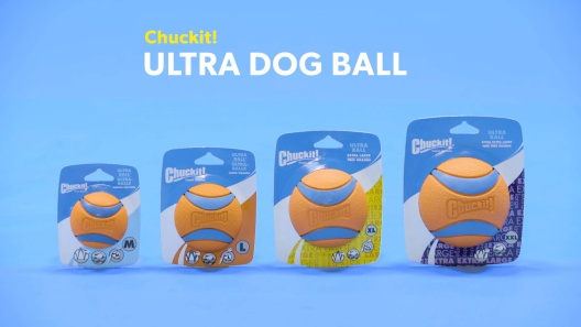 Play Video: Learn More About Chuckit! From Our Team of Experts