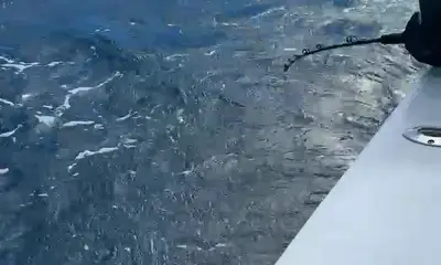 Wow! What an amazing day!!