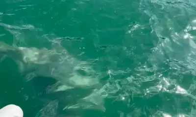 Capt\u2019n Aaron is the best 