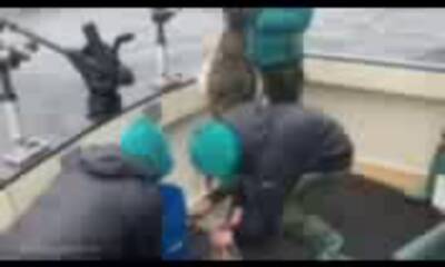 Kachemak Bay Report Video 2